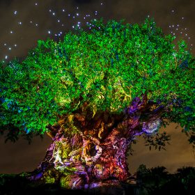 Tree of Life Awakenings