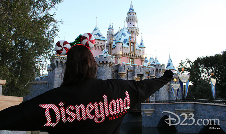 New Spirit Jerseys Featuring Disney Parks Attractions! 