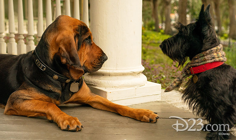Lady and the Tramp Disney+