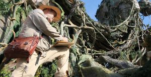 Imagineering Story iris