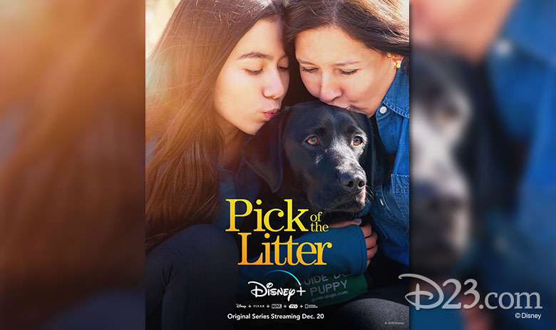 pick of the litter disney plus cover art