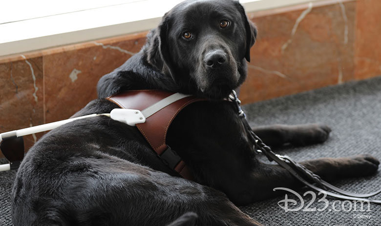 7 Attractions at Walt Disney World that Service Animals are Permitted 2