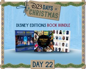 D23 Days of Christmas 2019 Sweepstakes day 21 prize