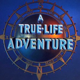 true-life adventure