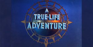 true-life adventure