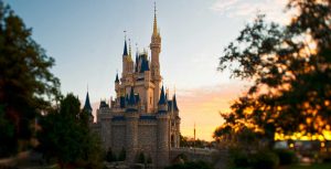 wdw