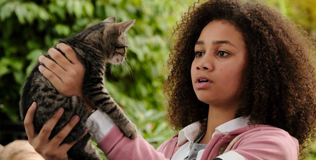 Play Disney Animal Mix-Up with the Stars of Upside-Down Magic