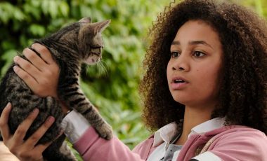 Play Disney Animal Mix-Up with the Stars of Upside-Down Magic