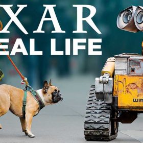 pixar in real life