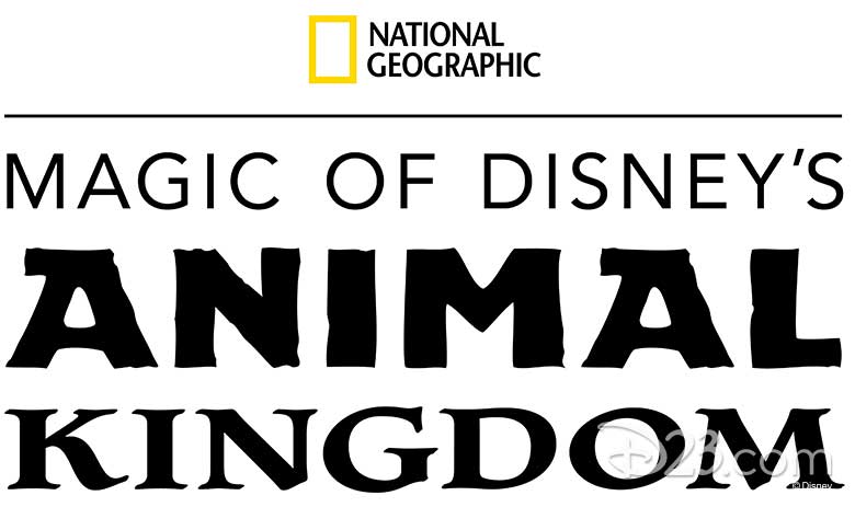 animal kingdom D+