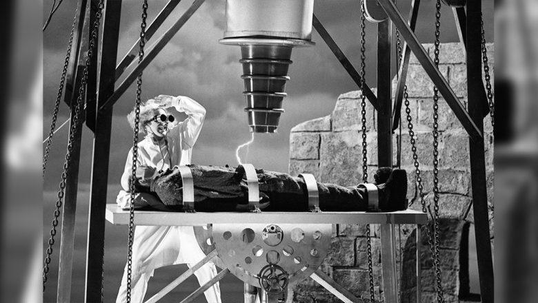 It's Pronounced Fronkensteen”; A Look Inside the Making of Mel Brooks'  Hilarious Satire Young Frankenstein - D23