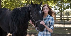 Black Beauty