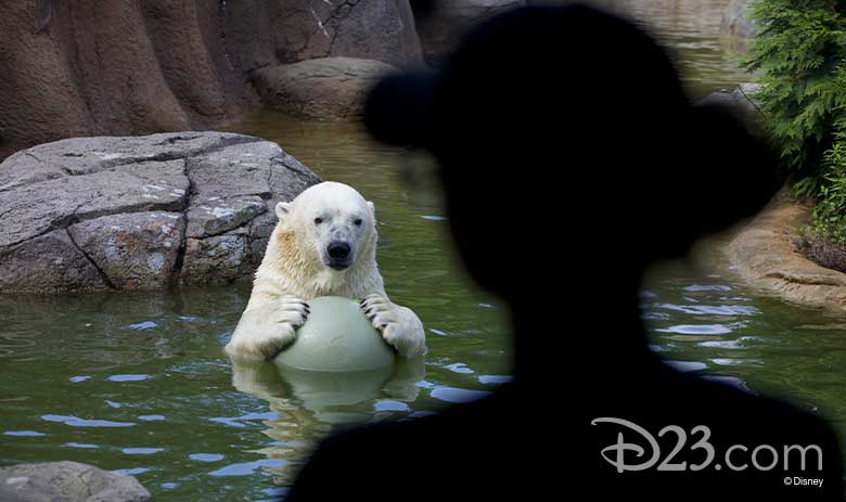 Secrets of the Zoo: North Carolina