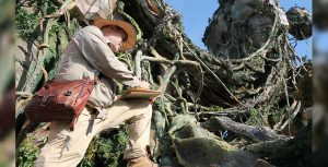 Joe Rohde
