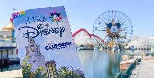 Touch of Disney