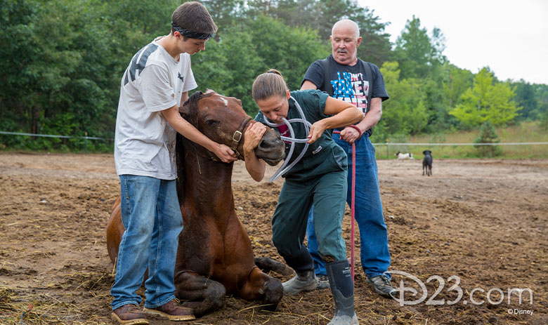 The Incredible Dr. Pol