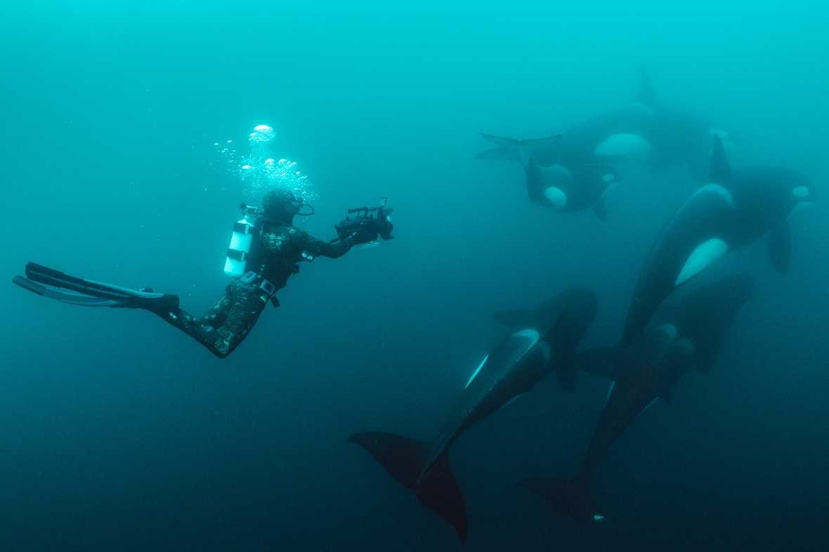 IMAGE-1_SOTW_NGSF000003_190902__116766-F1