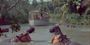 Jungle Cruise