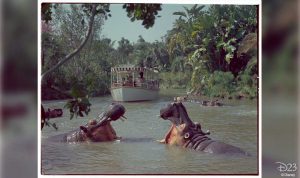 jungle cruise