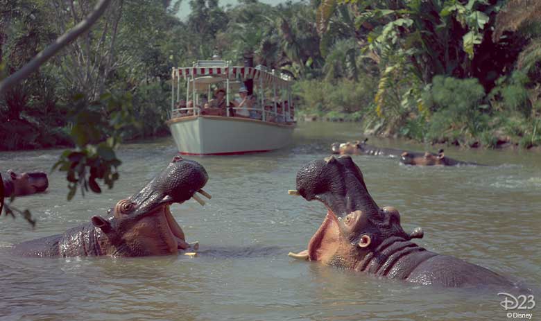 A True-Life Jungle Cruise with National Geographic: The Congo River - D23