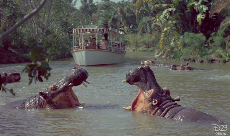 jungle cruise