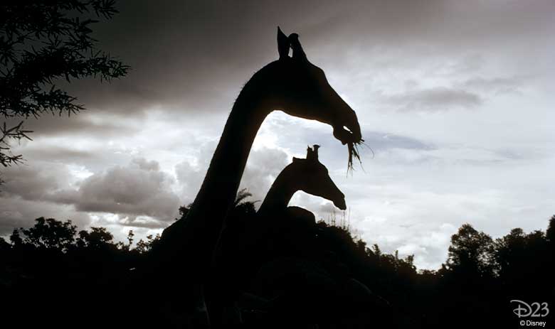 jungle cruise