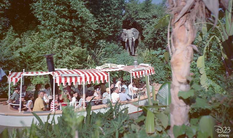 jungle cruise