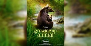 This Week's Disney News