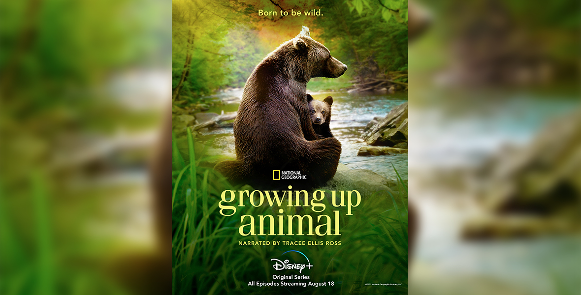 First Look at National Geographic's Growing Up Animal—Plus More in News  Briefs - D23