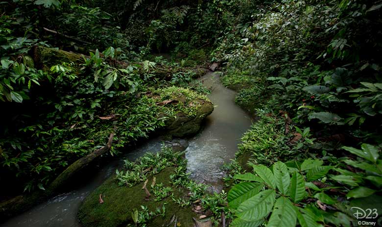 jungle cruise