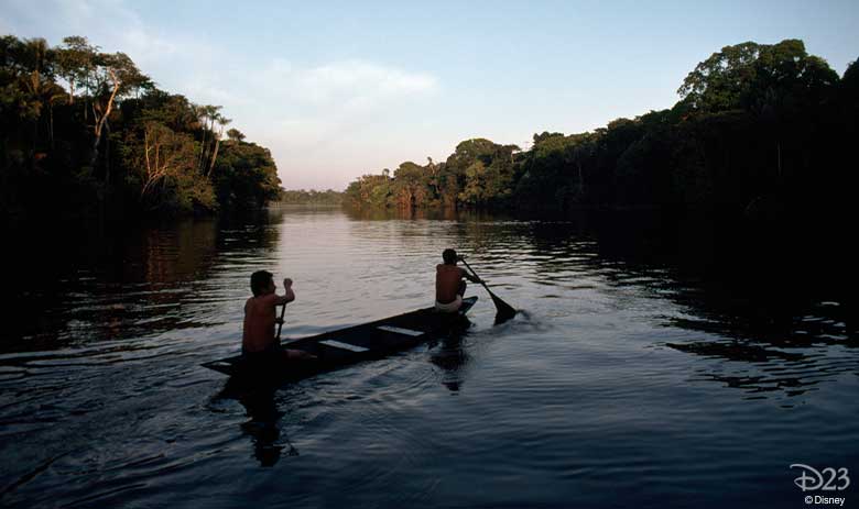 Rainforest in Brazil - Jungle Cruise on the  River 