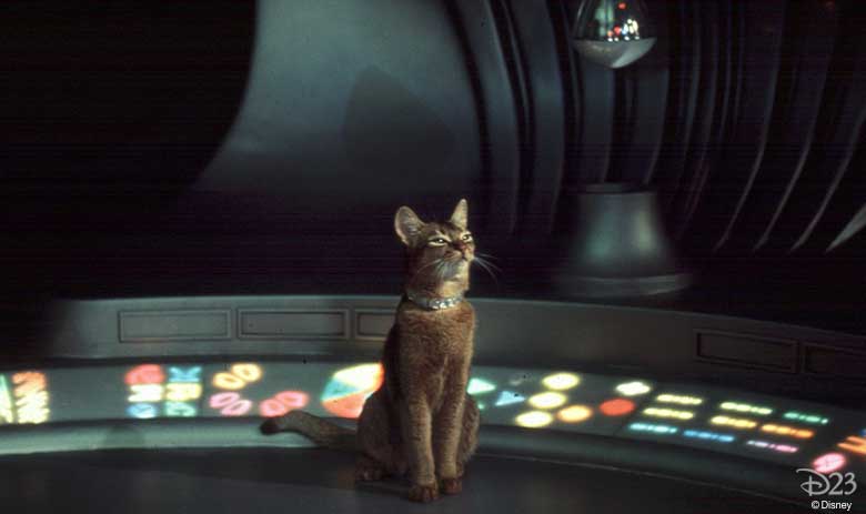 the cat from outer space