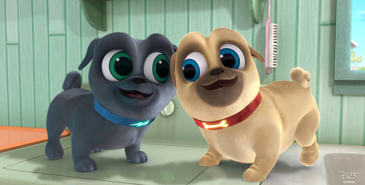 Puppy Dog Pals