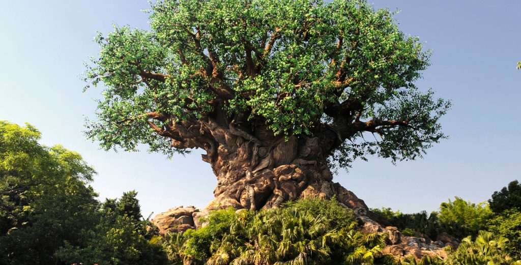 10 Hidden Details at Disney’s Animal Kingdom
