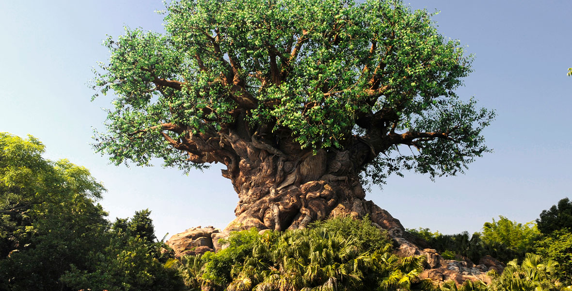 Tree of Life at Disney's Animal Kingdom basking in the sunlight,