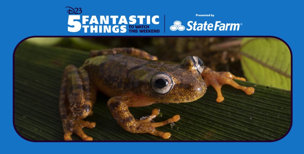 5 Fantastic Things to Watch This Weekend Presented by State Farm®