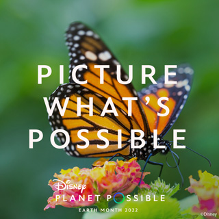 Earth Month Playlist