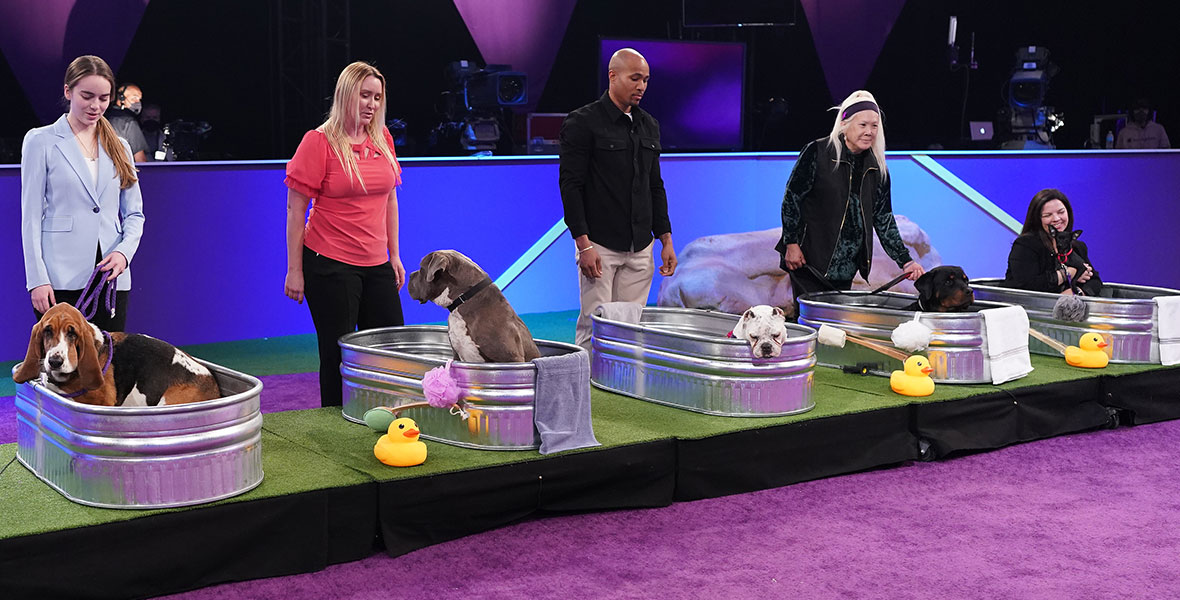 ive rescue dogs sit in aluminum bathtubs with their owners standing behind them in the ABC special The American Rescue Dog Show.