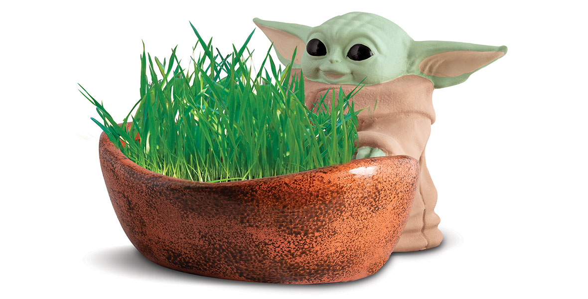 This holiday season give a Star Wars Chia Pet as a gift!, Yoda, Chewbacca, Star  Wars