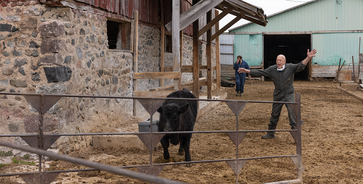 Dr. Jan Pol stands in a pen near a cow he is tending to in the National Geographic series Incredible Dr. Pol.
