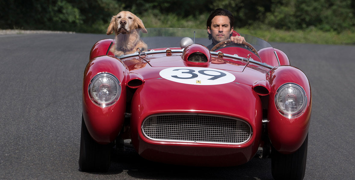 In a still from The Art of Racing in the Rain, Denny (Milo Ventimiglia) is driving a convertible red sports car with the number “39” emblazoned on the hood, with his dog in the passenger seat. 