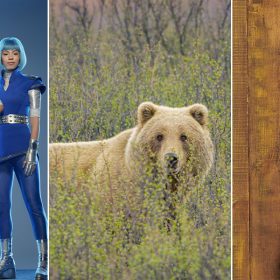 Left: Matt Cornett stars as A-Lan in ZOMBIES 3; he has blue hair and wears a blue and silver outfit against a silvery blue background. Middle: A bear traipses through a field, partially obscured by the plant life, in America the Beautiful. Right: Joshua Bassett stars as Ricky in High School Musical: The Musical: The Series; in this promotional picture for season three, he wears a blue Henley tee and stands against a brown background. He is smiling directly into the camera.
