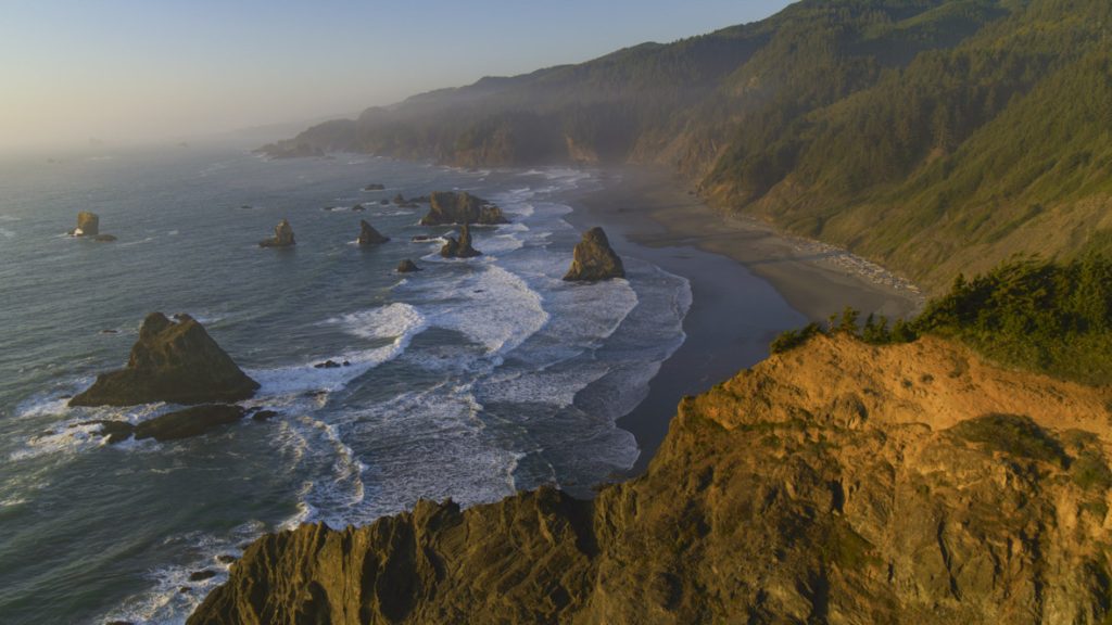In a scene from National Geographic’s America the Beautiful on Disney+, salmon returning to their spawning ground from the ocean have to navigate the rugged coastline before facing hordes of sea lions at the river mouth.