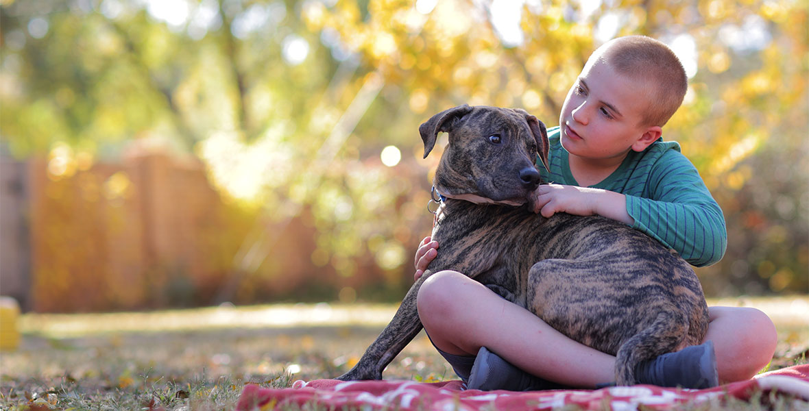 Roman McConn sits on red blanket while hugging a large dog on his lap and surrounded by yellow and green-leafed trees in a still from Roman to the Rescue.