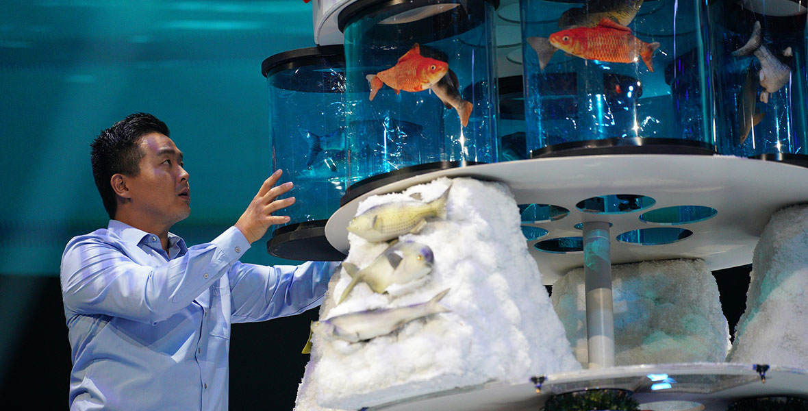 A contestant attempts to remove a large glass jar with fake goldfish from a platform on the game show The Final Straw.