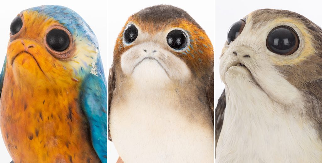 From Puffins to Porgs