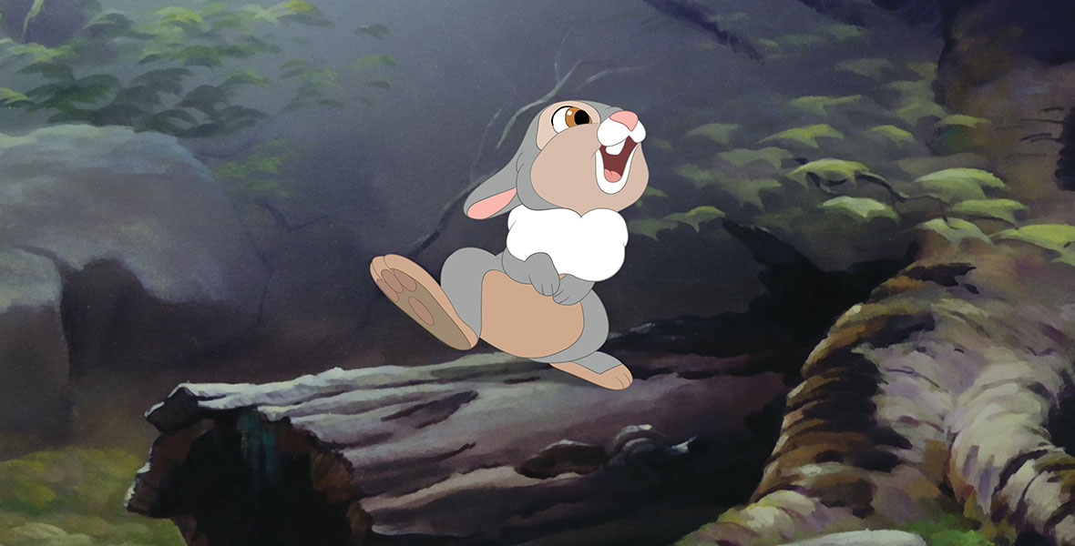 Thumper stands on his hind two legs atop a log. His right foot is up in the air as he tilts his head upwards.