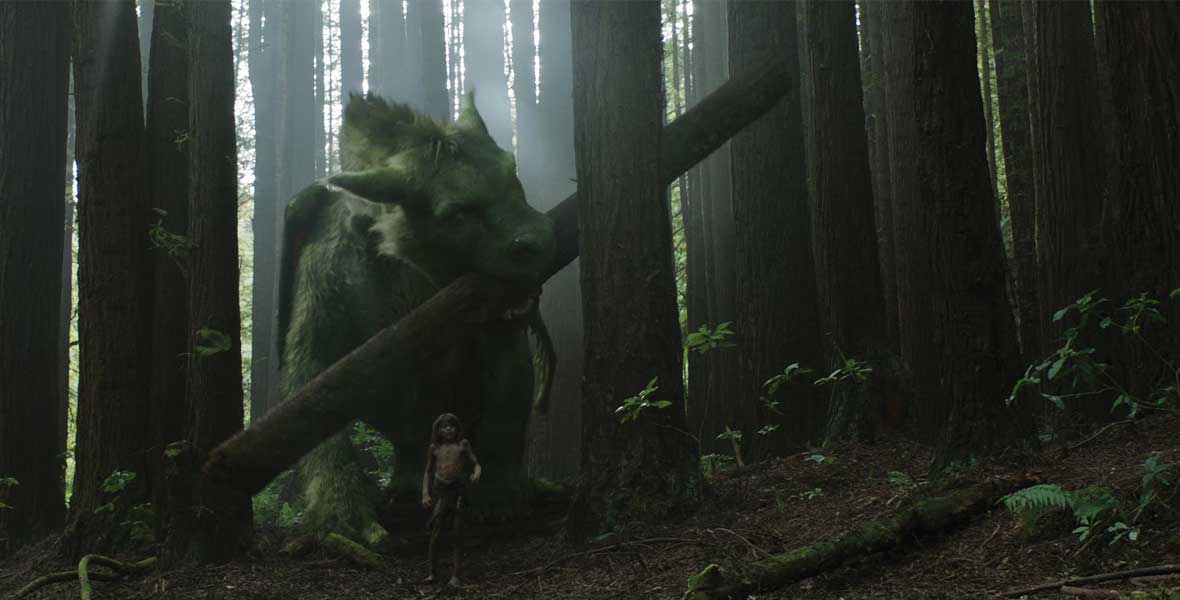 A computer generated image of a giant, green dragon carries a large tree in its mouth and walks through a dense forest. Actor Oakes Fegley, portraying Pete, walks in front of the dragon.
