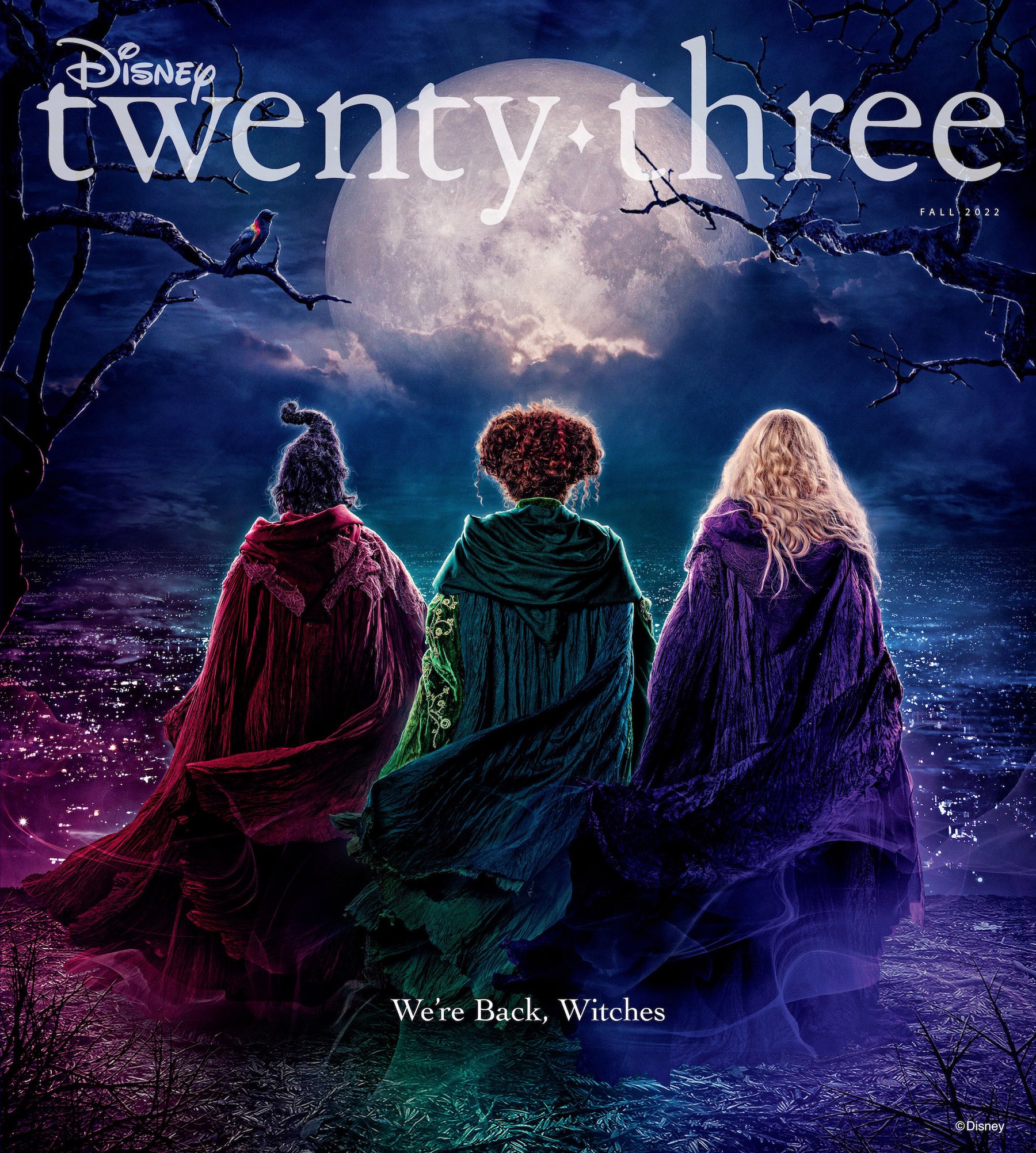 Disney twentythree Hocus Pocus 2 Front Cover D23