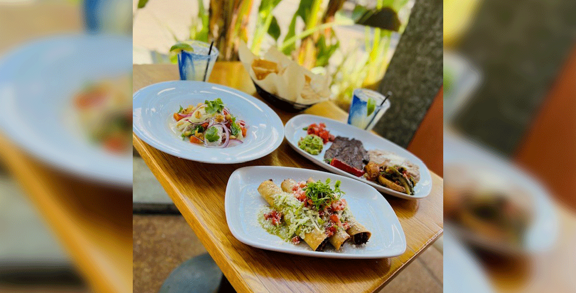 Full table of three plates containing different food offerings (left to right): Mahi Mahi filet with aji Amarillo, red onion, cherry tomato, fresh cilantro, boiled sweet potato, and corn nuts; three rolled crispy chicken tacos served with mole Verde, sheered lettuce, pico de gallo, and queso fresco; seared rib eye served with crispy potatoes a la Mexicana, sautéed Poblano peppers, tomato, onions, and cilantro with pico de gallo, guacamole, refried beans, and Chile Toreado.